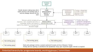 UKPRP Governance PNG