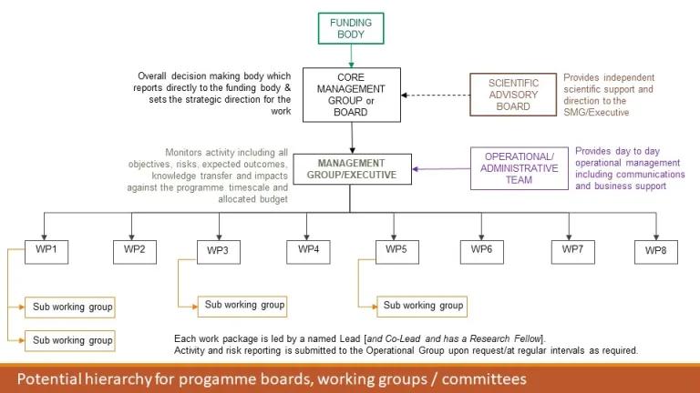 UKPRP Governance PNG